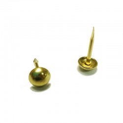 Decorative Nail Brass Plated